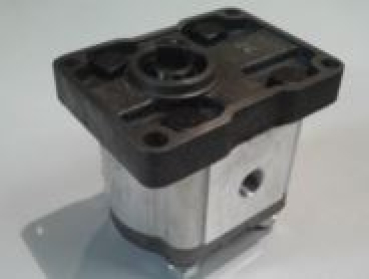 Lumag Maschine Ersatzteil Hydraulikpumpe für LUMAG Holzspalter HOS10A/12A  HB10S