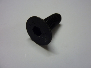 Lumag Maschinen Ersatzteil passend für Rambo HC15H Schraube 10x35 (abgeflachter Kopf)+Stopmutter